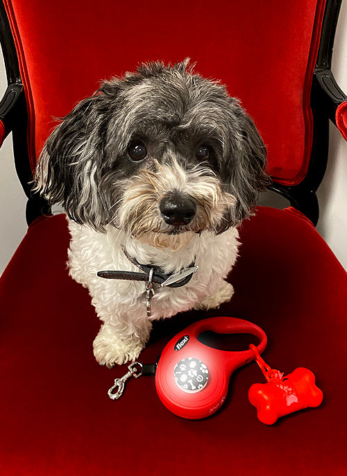 PAW PRINT Lotta-Lite